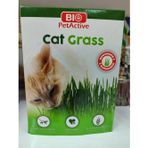 Bio PetActive Bio Pet Active Kedi Çimi Yeni