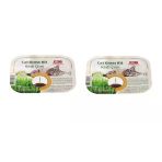 Bio Petactive Cat Grass Kit Doğal Kedi Çimi Kiti X 2 Adet