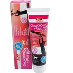 Bio PetActive Glucochond Plus Gel 100 ml Kedi Eklem Ve Kas Destekleyici
