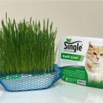Bio PetActive Single Natural Kedi Çimi
