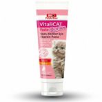 Bio PetActive Vitalicat Paste 100 ml Kedi Vitamin Macunu