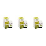 Bio Vitals 3 x 20 ml Adaçayı Acı Elma Yağı