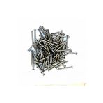 BİODATA Duvar ve Beton Çivisi -3cm uzunluk -3mm Kalınlık -Çelik Çivi (Pk.İçi/Adet: 25Adet)