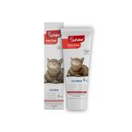 Biofeline Rahatlatıcı Macun 100g ve Kediler İçin Günlük Strese Karşı Rahatlık Sağlayan Sakinleştirici Macun