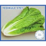 Biogen 10 gr 1 Paket Yedikule Marul Tohumu