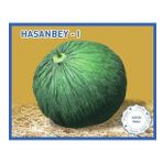 Biogen 25 gr 1 Paket Hasanbey1 Kavun Tohumu