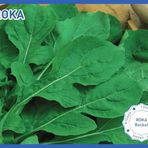 Biogen 25 gr Roka Tohumu