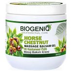 Biogeniq 500ML At Kestanesi Yoğun Bakım Kremi