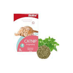 Bioline 20 gr Catnip Doğal Kedi Nanesi