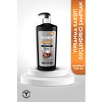 Biomen Professional Kafein Arjinin Kuru ve Yıpranmış Saçlar için 1000 ml Şampuan