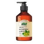 Biopor Dabur Amla Bektaşi Özlü 500 ml Damla Şampuanı