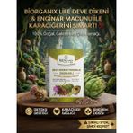 Biorganix Life Life Deve Dikeni Tohumlu Enginarlı Macun 240 G %100 Doğal Bitkisel Karışım - 1 Paket