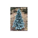 Biorganix Mavi Ladin Çam Fidanı 35-45 cm Picea Pungens Hoopsii - Yok