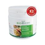 Biorichi 500 ML At Kestanesi Balsamı