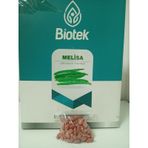 Biotek Melisa Sırık Fasulye Tohumu 100 Gr 3 Adet