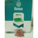 Biotek Melisa Sırık Fasulye Tohumu 100 Gr 4 Adet