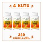 Biotin 5000 mcg 4 Kutu 240 Bitkisel Kapsül – Biotin Takviye Edici Gıda