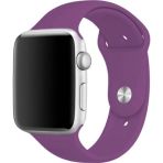 BİPOWER Apple Watch 42-44mm Uyumlu Classic Silikon Kordon
