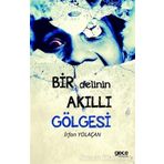 Bir Delinin Akıllı Gölgesi - İrfan Yolaçan