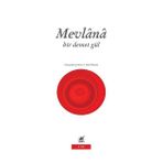 Bir Demet Gül - Mevlana Celalettin Rumi