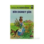 Bir Demet Şiir - Mehmet Kadri Sümer