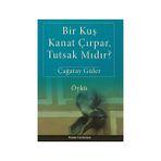 Bir Kuş Kanat Çırpar, Tutsak Mıdır? - Çağatay Güler
