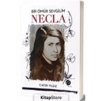 Bir Ömür Sevgilim Necla - Cafer Yıldız