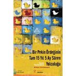 Bir Pekin Ördeğinin Tam 15 Yıl 5 Ay Süren Yolculuğu - Vassilis Papatheodorou
