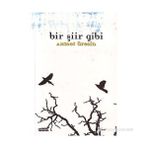BIR ŞİİR GIBI - AHMET ÜRESİN