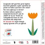 Bir Sürprizim Var Sayılar Masalperest