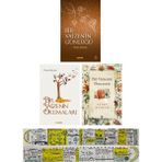 Bir Vaizenin Günlüğü / Bir Vaizenin Okumaları / Bir Vaizenin Penceresi 3 Kitap Set (Matematik Öğreten Cetvel) - Fatma Bayram