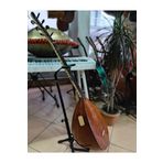 Bircan Müzik Özel Seri Maun Tekne Kısa Sap Bağlama (Soft Kılıf, Yedek Tel, Mızrap Hediye)