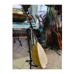 Bircan Müzik Profesyonel Oyma Kestane Kısa Sap Bağlama (Soft Kılıf, Yedek Tel, Mızrap Hediye)