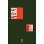 Birdenbire-Luna Yayınları