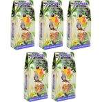 Birdmozz Premium Vitaminli Paraket Yemi 700 gr x 5 Ade Cennet Sultan ve Sevda Kuşu İçin Özel