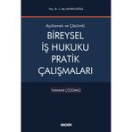 Bireysel İş Hukuku Pratik Çalışmaları