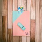 Birikiyedi Şirin ve Şirine 3D Kitap Ayracı / Ataç 2'li Set (Defter Görsel Amaçlı Kullanılmıştır.) - Karışık-Çok Renkli