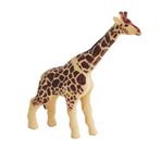 Birlik Toys 9984-1 4 Model Soft Hayvanlar Eğitici Oyunlar