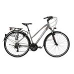 BİSAN 8200 CİTY ŞEHİR BİSİKLETİ 45 CM V 700C 21 VİTES AÇIK METALİK GRİ BEYAZ PEMBE
