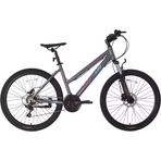 Bisan Athena 29 Jant Metalik Gri Dağ Bisikleti