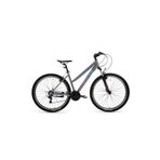 Bisan Athena 48 cm V 29 Jant 21 Vites Metalik Gri Mavi Mor Dağ Bisikleti