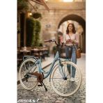 Bisan BİSAN SORRENTO-S ŞEHİR BİSİKLETİ 44 CM V 26 JANT 7 VİTES BEBEK MAVİSİ SİLVER