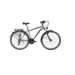 Bisan Comfortline Erkek Şehir Bisikleti 48Cm V 26 Jant 21 Vites Metalik Gri Siyah
