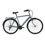 Bisan Hardy-s Gri-Siyah 26 Jant 21 Vites 48 cm V-fren Şehir Bisikleti