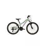 Bisan Kdx 2800-V Kadın Dağ Bisikleti 30Cm V 24 Jant 21 Vites Mint Yeşil Pembe Beyaz