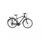 Bisan TRX 8100 City 460 cm V 28 Jant 21 Vites Mat Siyah Mavi Erkek Şehir Bisikleti