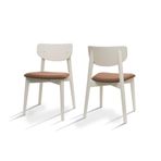 BISCHAIR Yemek Masası Sandalyeleri 2 li Set Döşemeli 1. Sınıf Kayın Mutfak Sandalyeleri Dayanıklı Premium Ergonomik ve Estetik Tasarım (Opus, Beyaz)