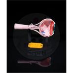 Bi'şeyler Sepeti Insan Gözü - Human Eye - Dekoratif Figür - 18 cm