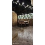Bişkin Reed Fence Misina Ipli Doğal Bambu Kamış Çit , Bahçe Çiti , Balon Çiti , Hasır Çit , Gölgelik Dekor Bişkin Kamış Çit 2 - 2METRE X 2METRE