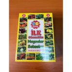 Bite Nose Meyveler ve Sebzeler Ingilizce Eğitici Zeka Oyunu Ilk 50 Kelime - Renkli